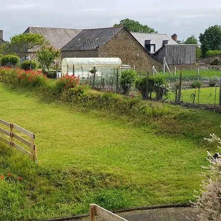 Lucian Mont-saint-michel * Moidrey